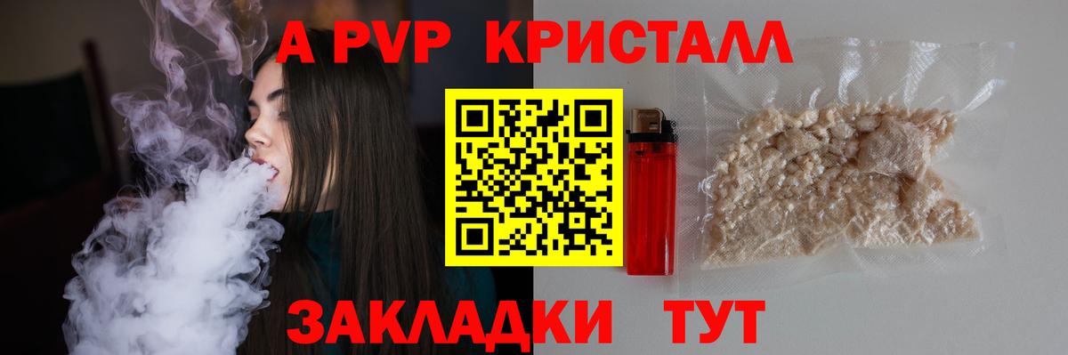 Alfa_PVP СК Аргун