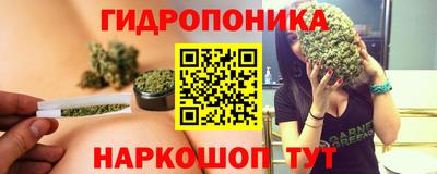 ПСИЛОЦИБИНОВЫЕ ГРИБЫ Свободный